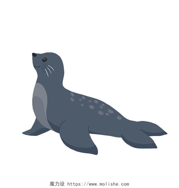 手绘卡通海豹国际海豹日海豹